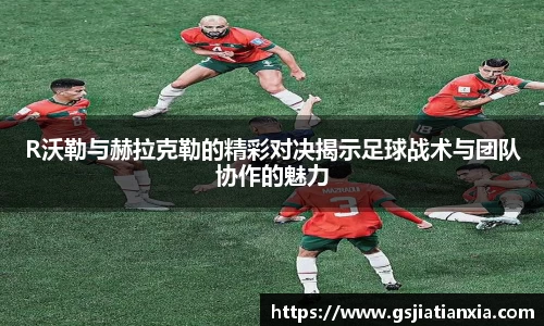 乐动LDSports体育